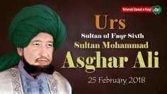 Sultan ul Faqr Sixth 2018