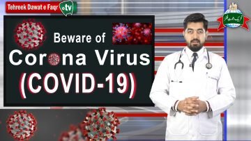 Corona Virus